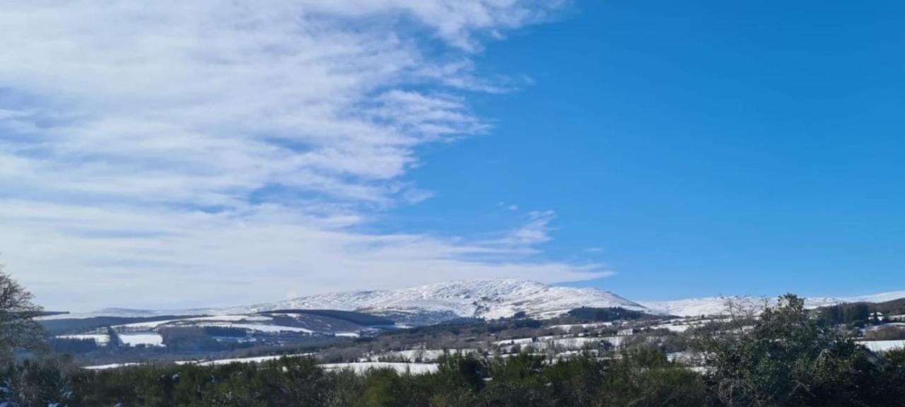 Scarr View 1St Floor Apartment A98W710 Wicklow Bagian luar foto