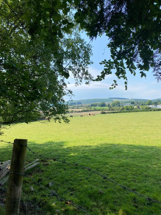 Scarr View 1St Floor Apartment A98W710 Wicklow Bagian luar foto