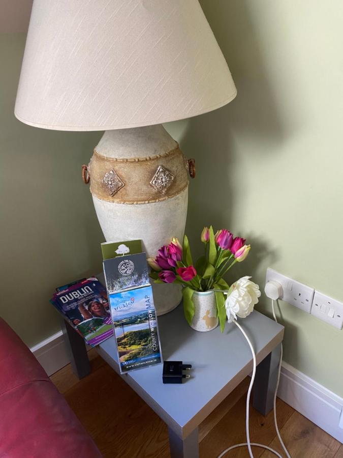 Scarr View 1St Floor Apartment A98W710 Wicklow Bagian luar foto
